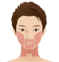 メンズエミナルの髭脱毛の部位